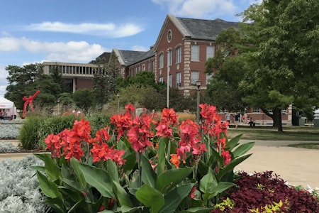 The quad with red iris flowers.