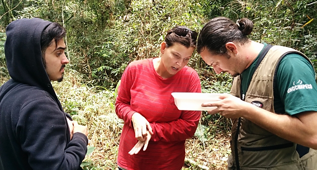 Biology students working in the field.