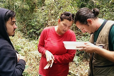 Biology students working in the field.