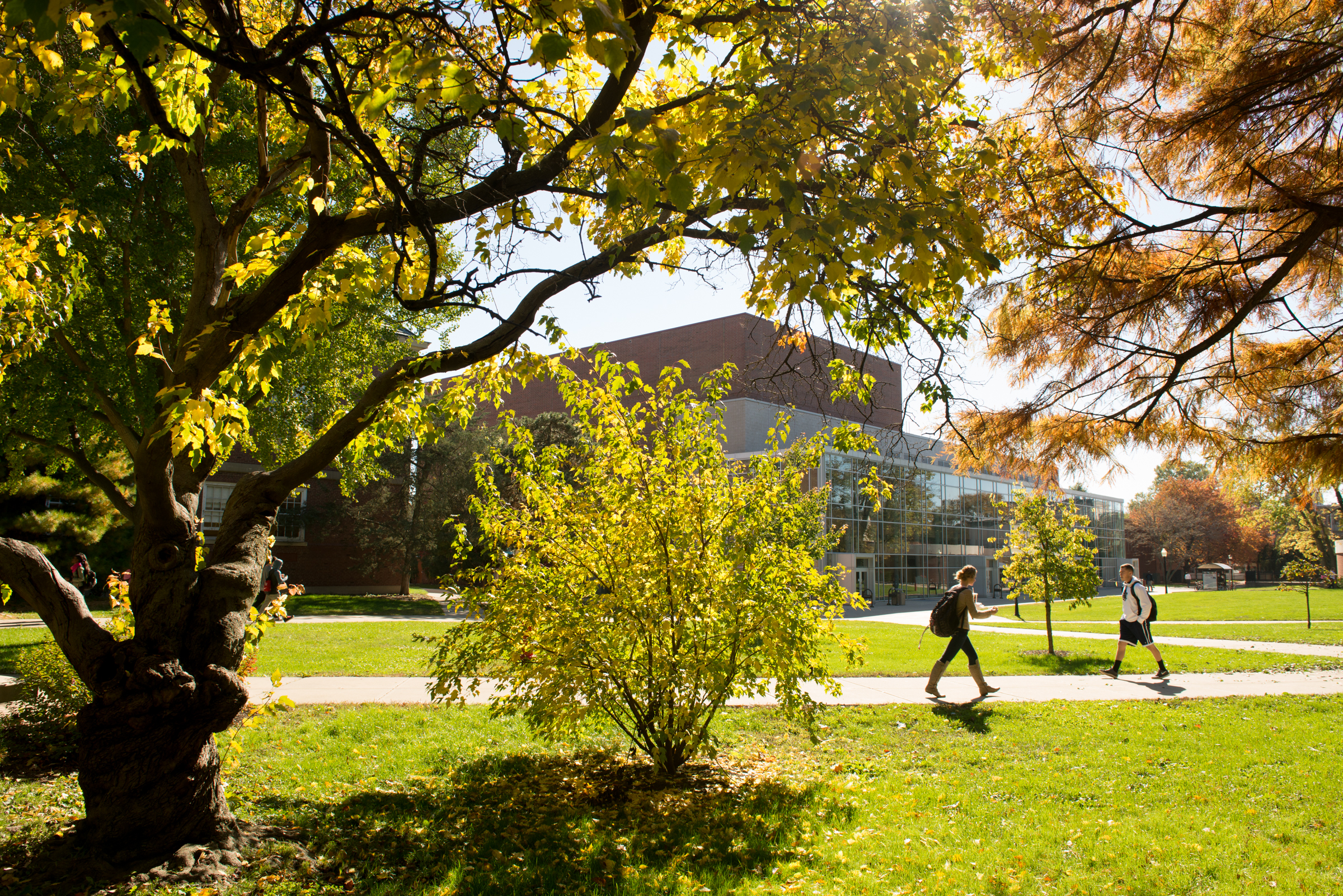 Students walking across the quad in summer.
